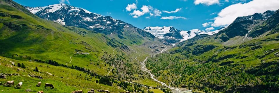 FestivalAlpi's profile banner image