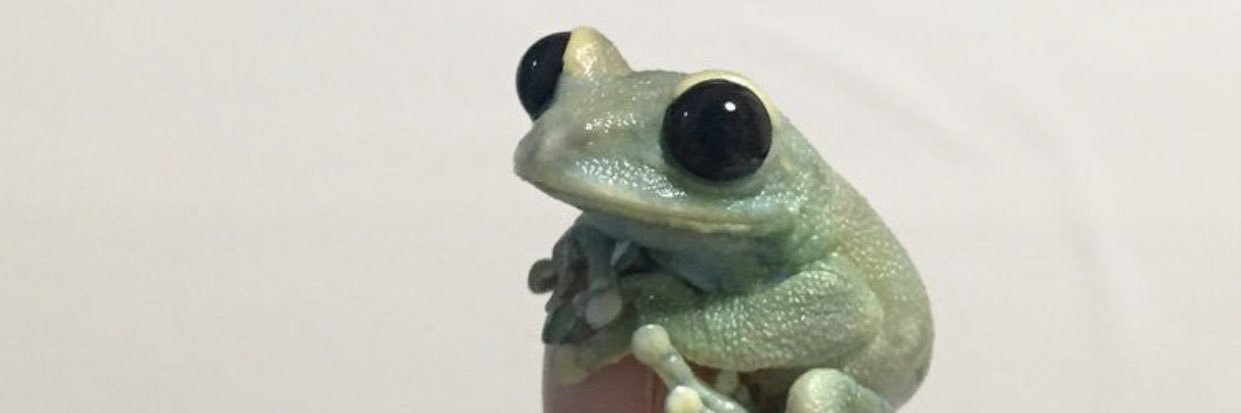 Isabelvc97's profile banner image