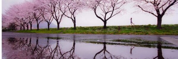 goldarosh Profile Banner