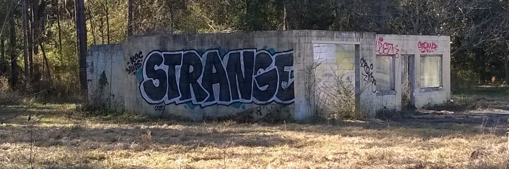 Bobby *Johnny Bravo* Boyer banner