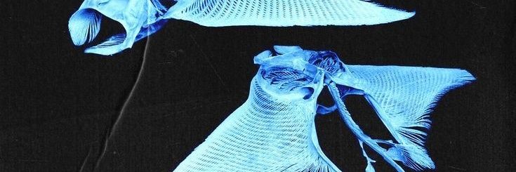 heripote666's profile banner image