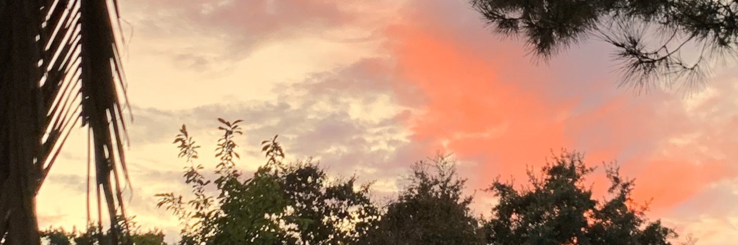 Maritza E. Colon banner