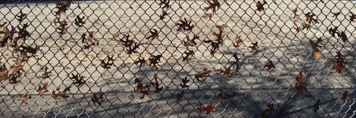 theTaradactal's profile banner image