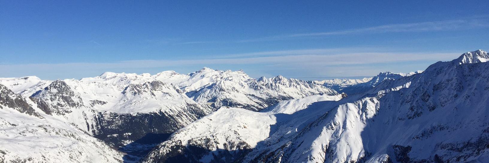 Lexi Metherell banner