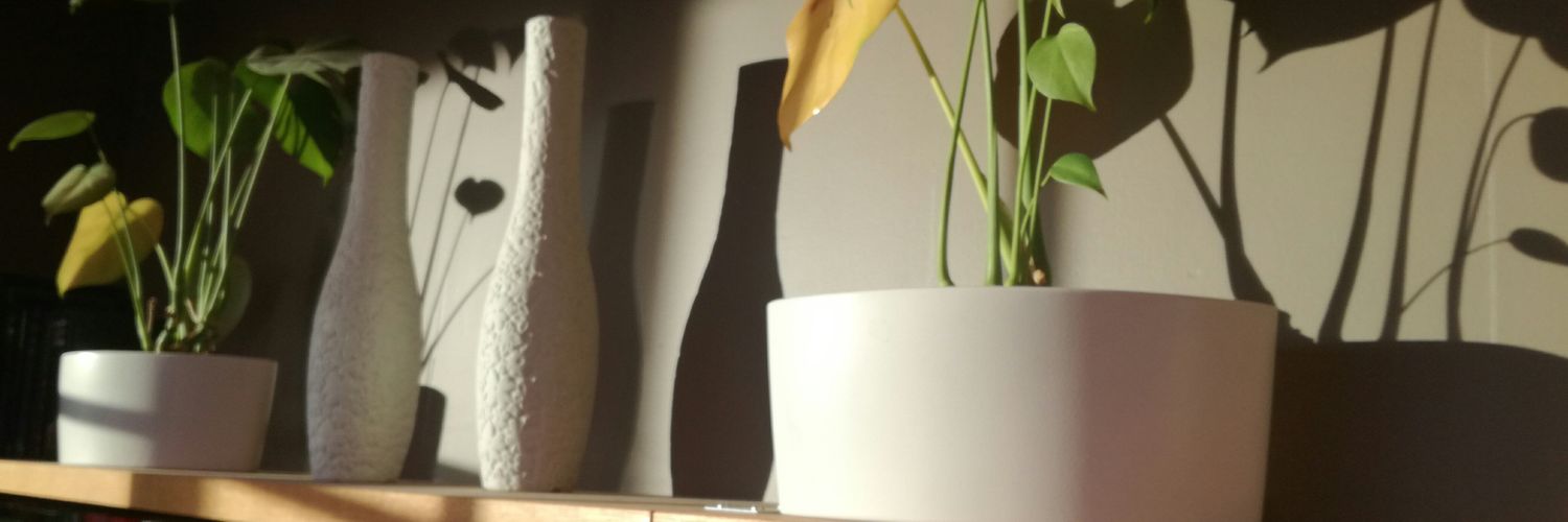 AlbertoLopezCasillas banner