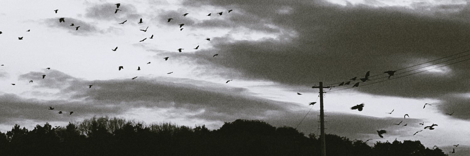 knuu_877's profile banner image