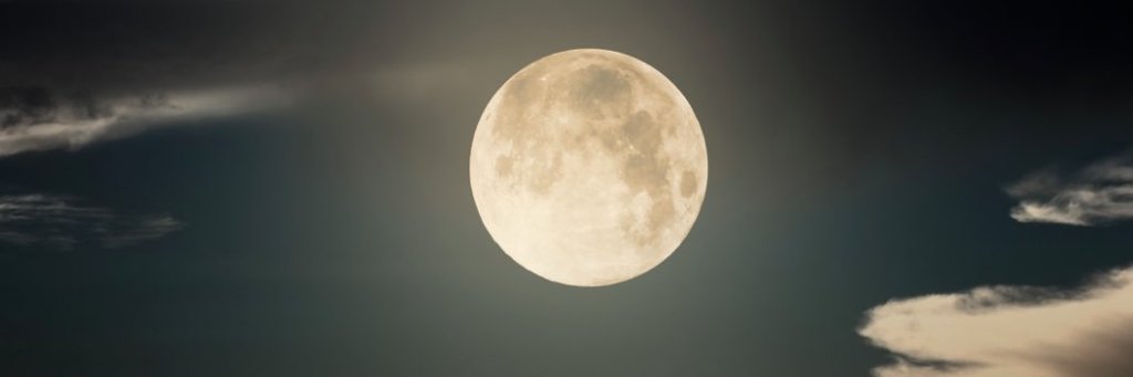Don_Wasahusky's profile banner image