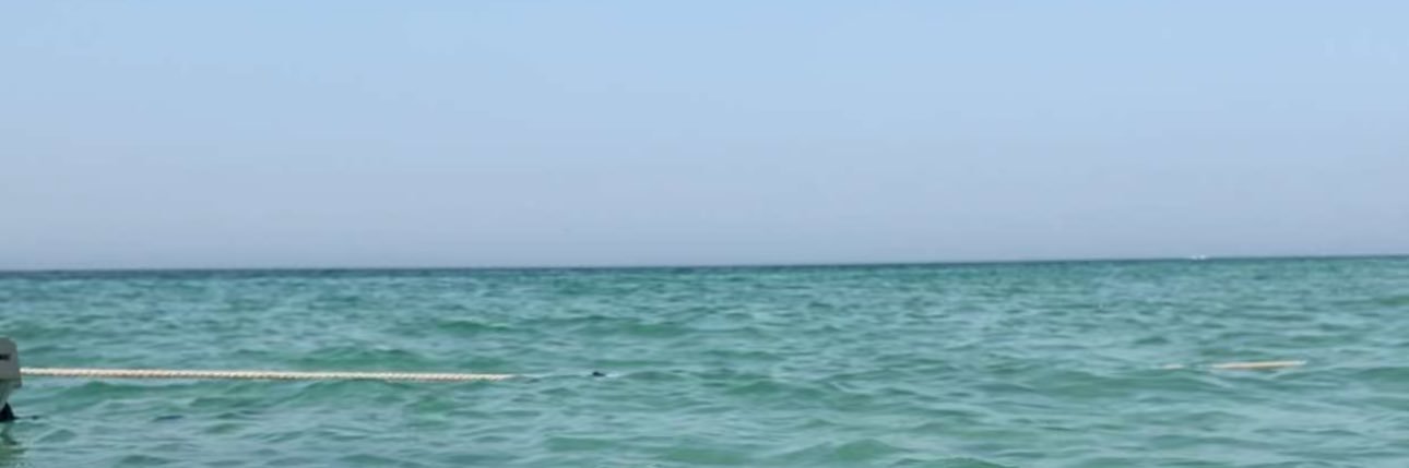 zouuz_'s profile banner image