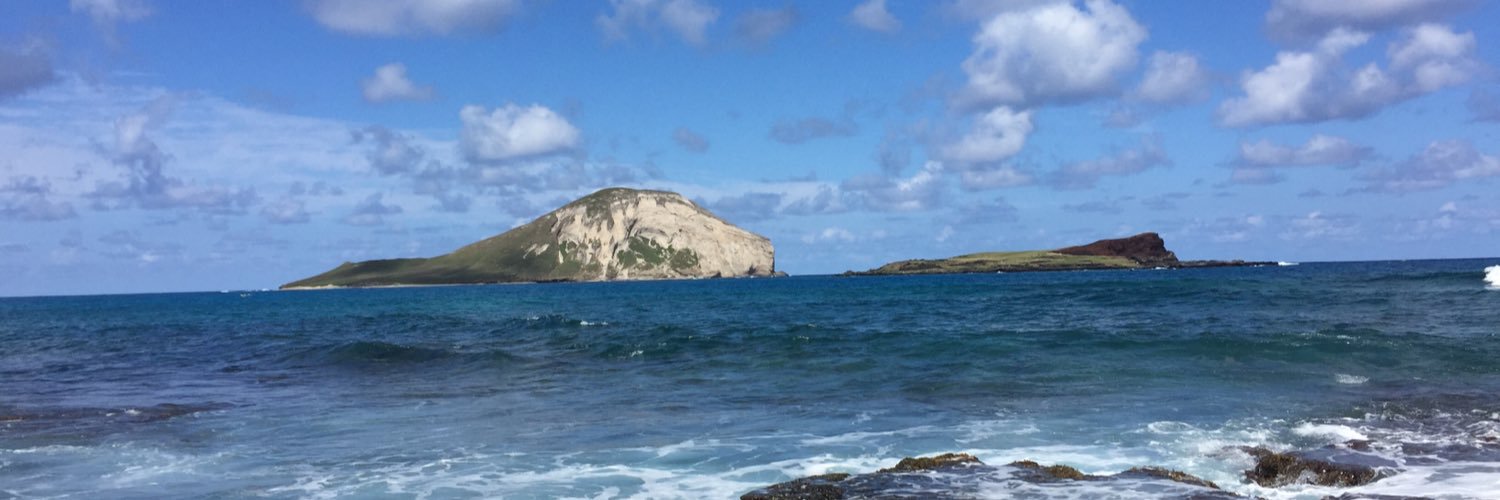 Anuinhawaii's profile banner image