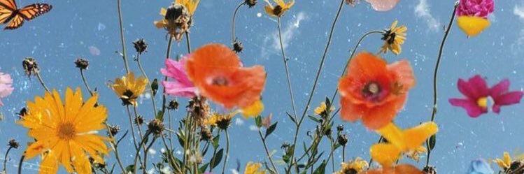 paubzb's profile banner image