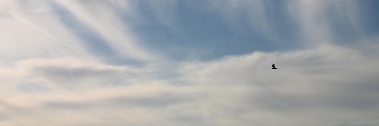 jaumeag's profile banner image