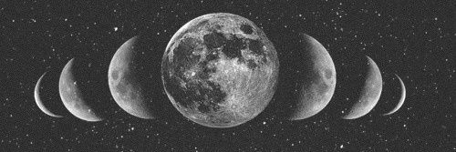 SabrinyD's profile banner image