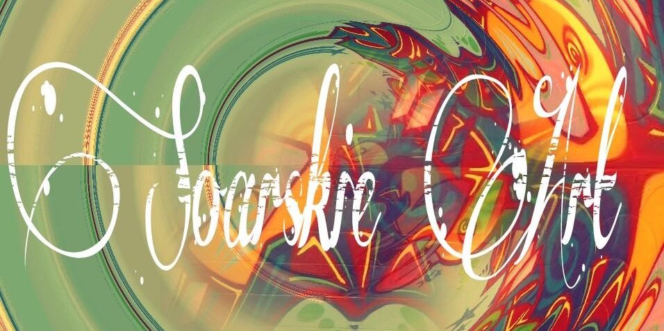 soarskiart's profile banner image