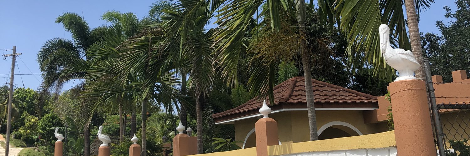 DavisAntonioAS's profile banner image