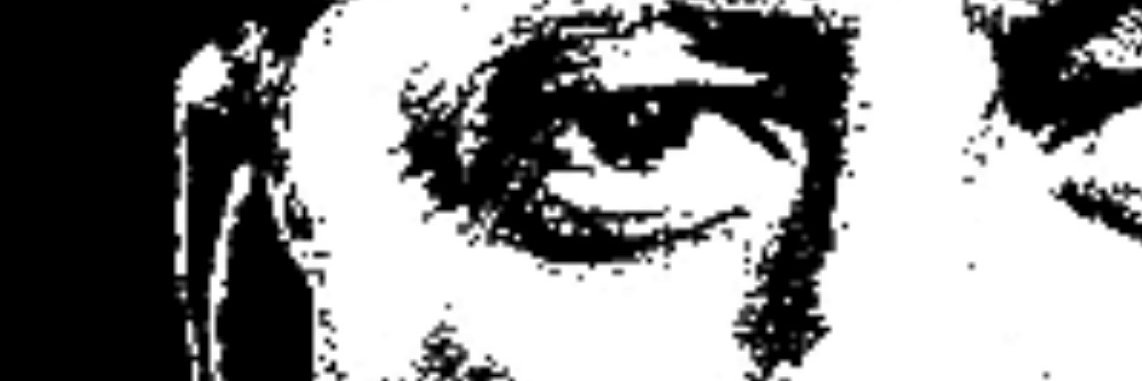 Doug Max Stone banner