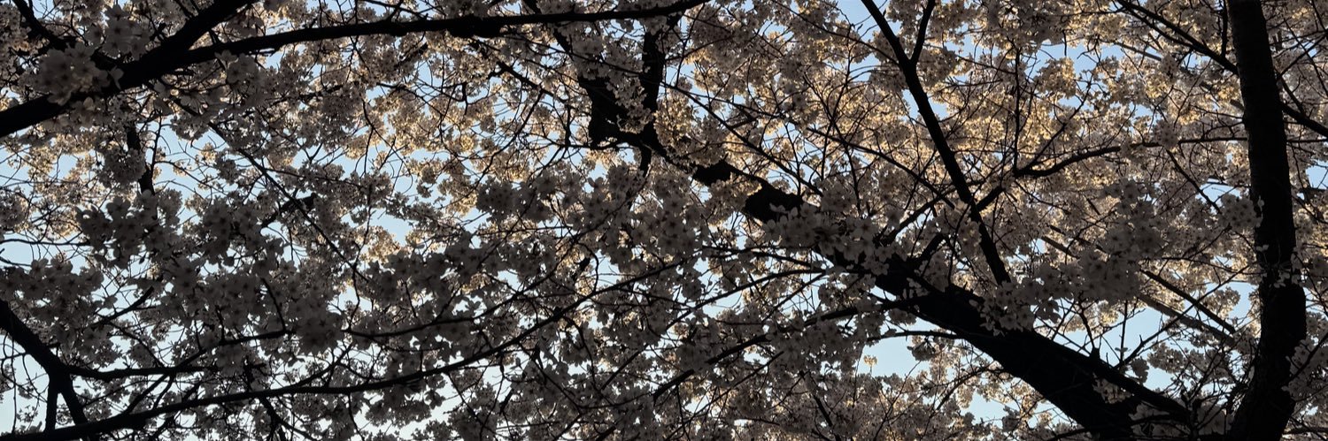 prettylilblue's profile banner image
