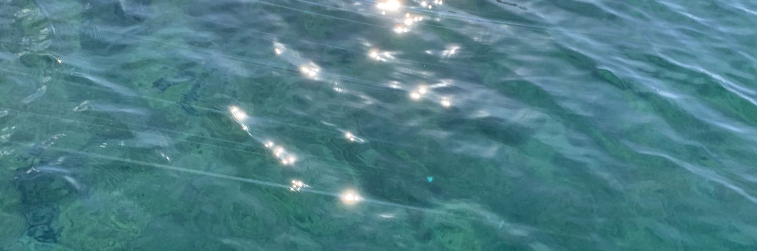 mariamelia_vb's profile banner image