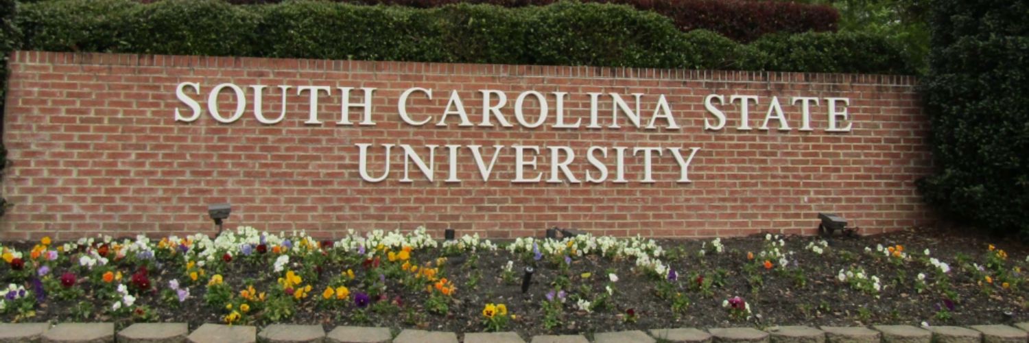 BLACK SMOOTHIE!! banner