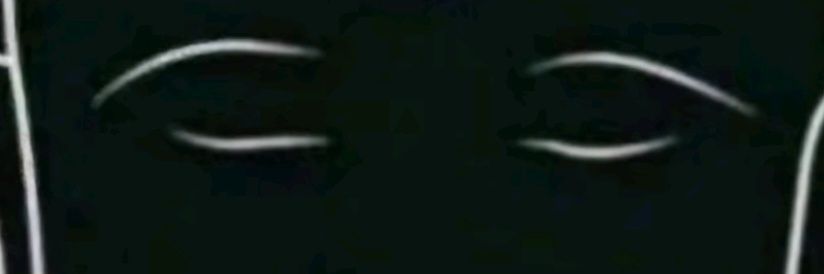 johnny kas banner
