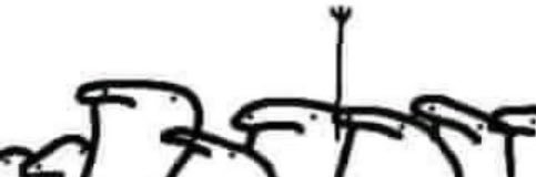 kingbolucool's profile banner image