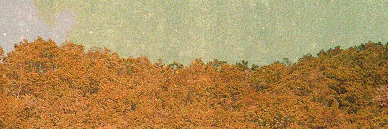 inunuu's profile banner image