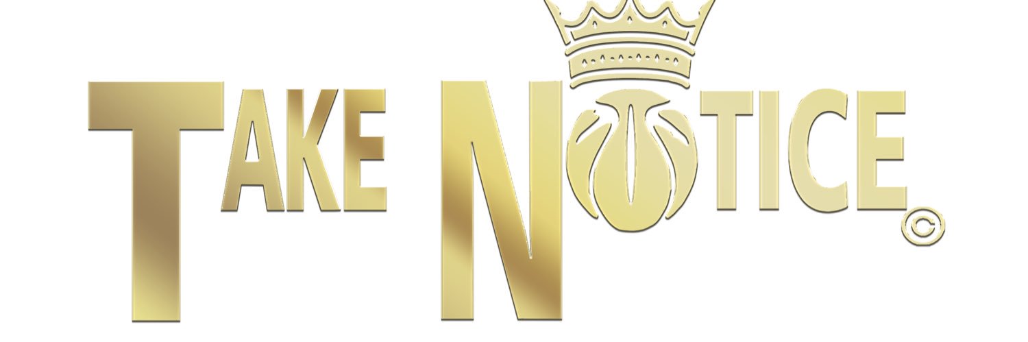 Temeka Johnson banner