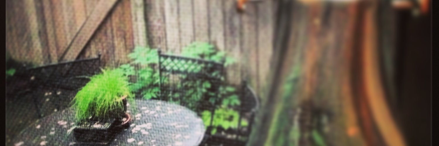 DCBernstein17's profile banner image