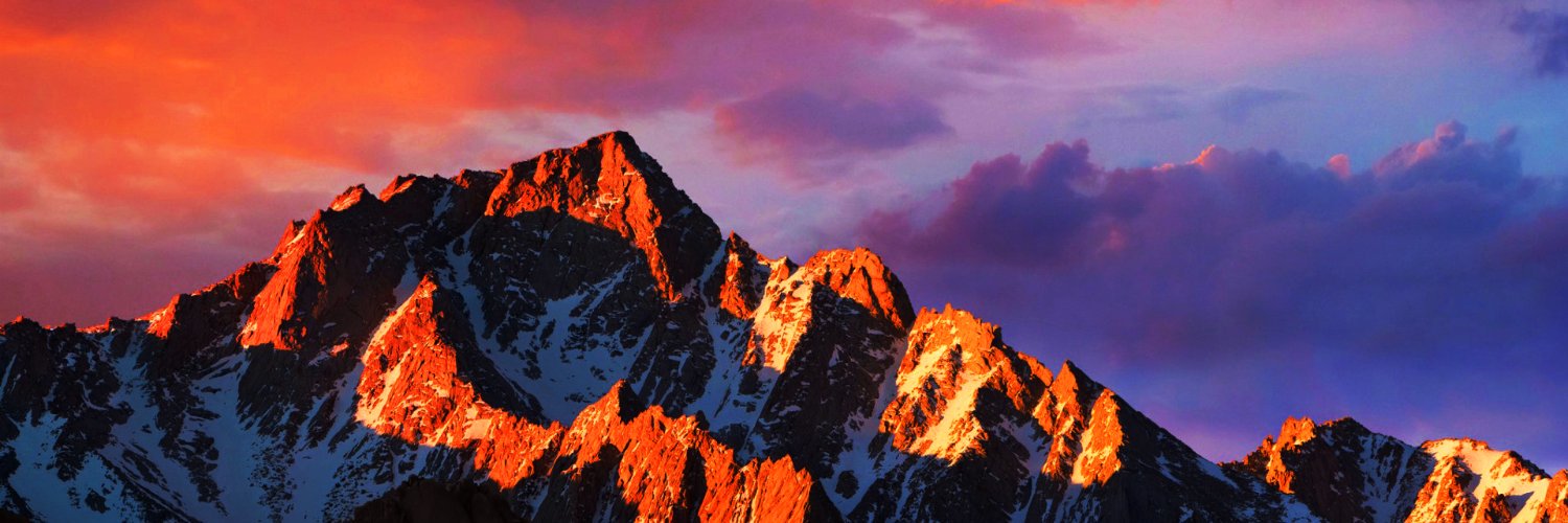 Raghuram Bachu 🐯 banner