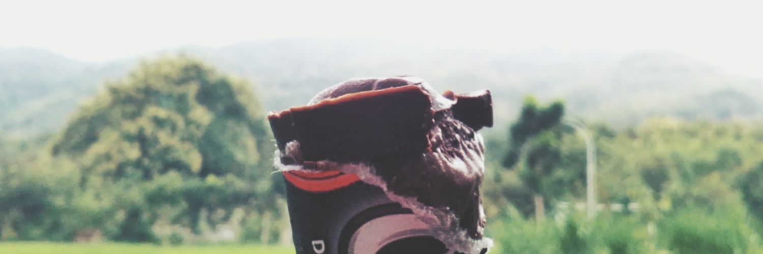 🐝 banner