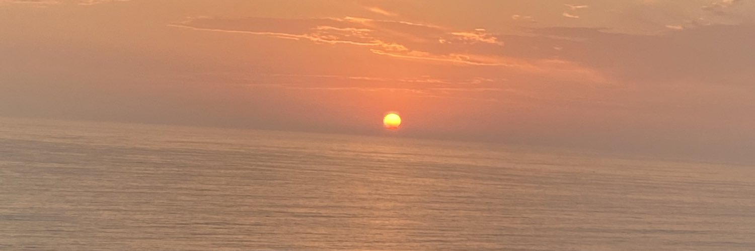 mel_peli's profile banner image