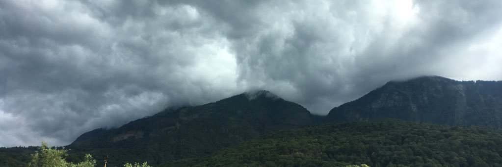 volchenkovapol1's profile banner image