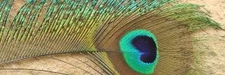 rgkmkw's profile banner image