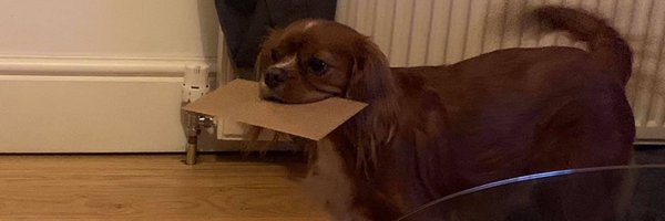 philvintin Profile Banner