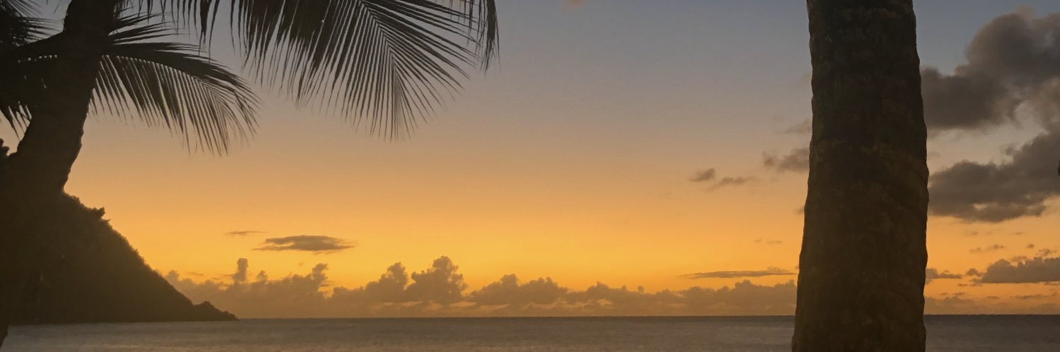notsunnylife's profile banner image