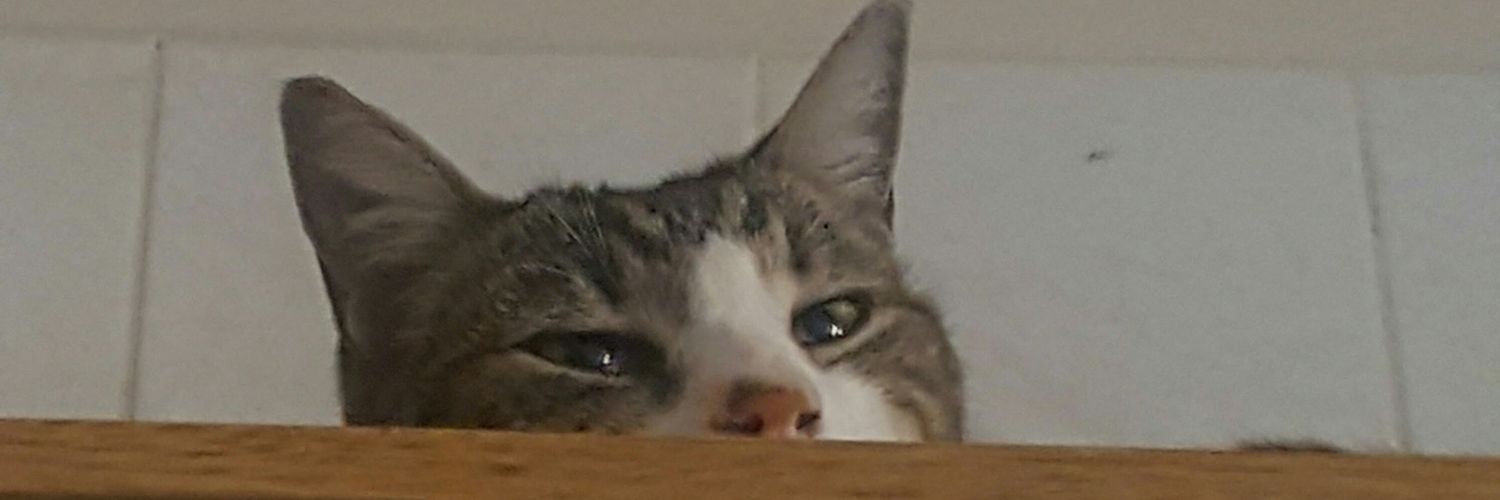 Soolana_'s profile banner image