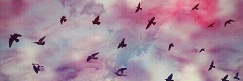 Moreailen2's profile banner image