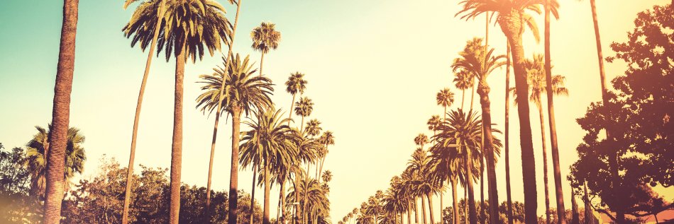 jessca_la's profile banner image