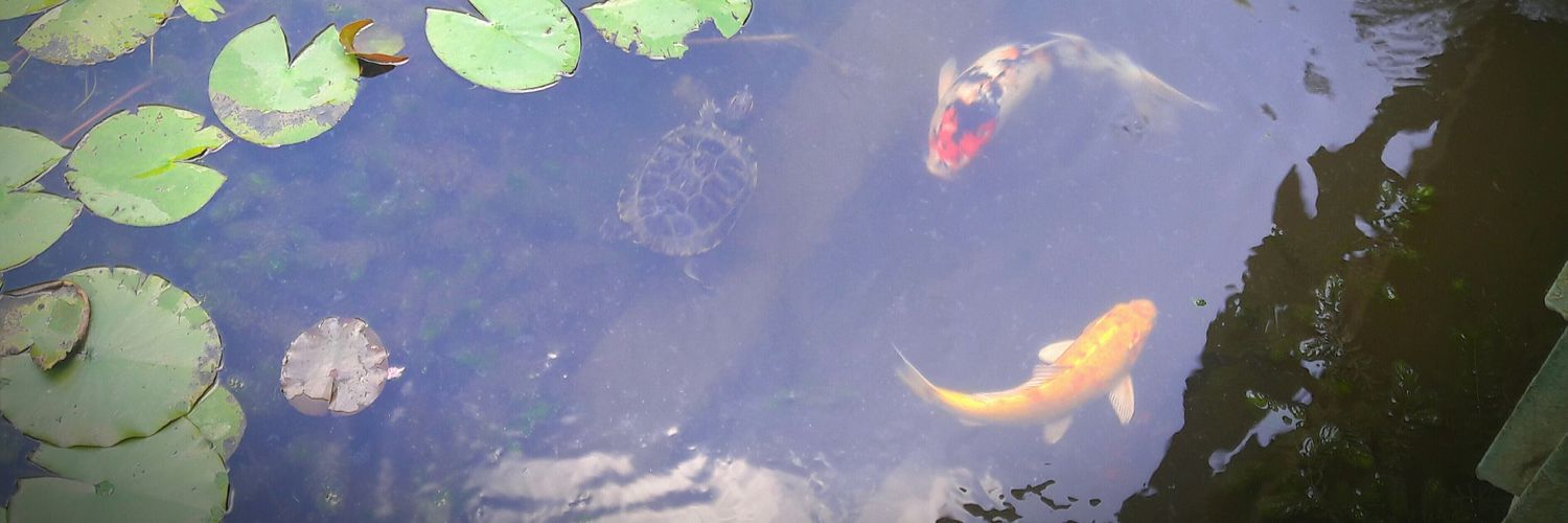 Michelle Calderón banner