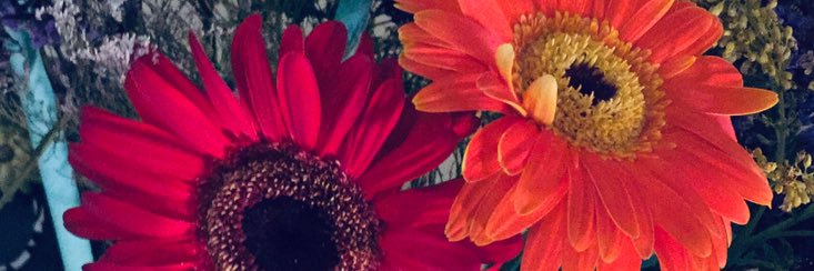 _kmichriba's profile banner image