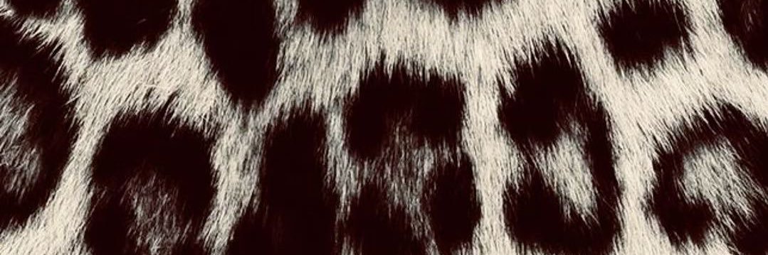 thereals4de's profile banner image