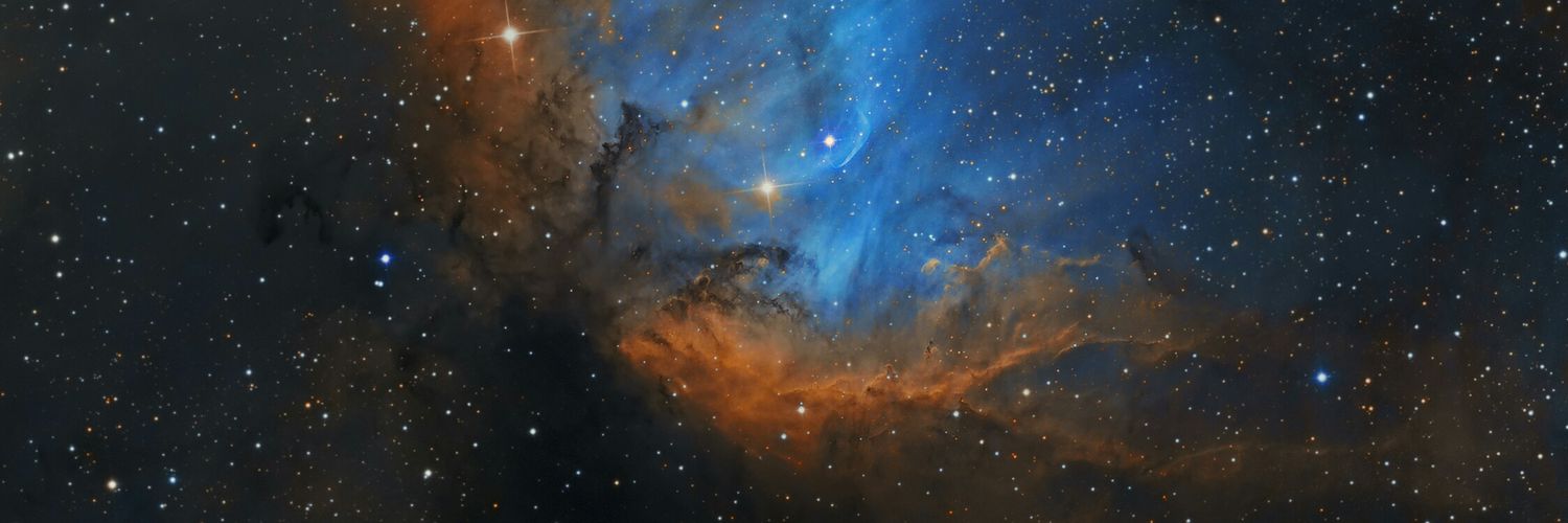 Darla2197's profile banner image