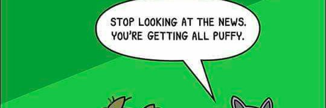 orlowj's profile banner image