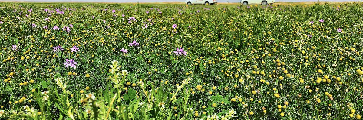 عبدالرحمن الناحل banner