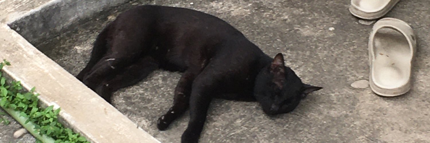 narathip958's profile banner image