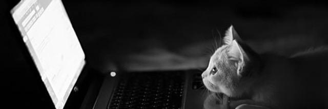 BarnesIsobel's profile banner image
