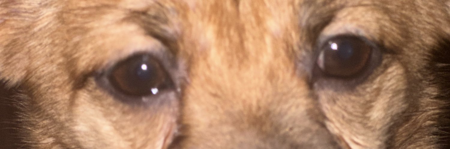 xNorma18x's profile banner image