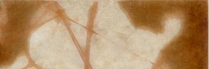 RSIDVMq's profile banner image