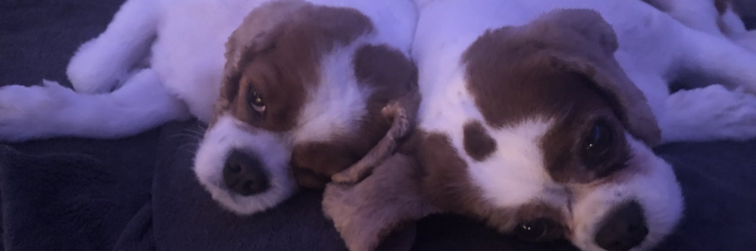 craigmcx's profile banner image