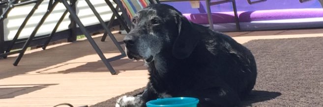 Michael Turner banner