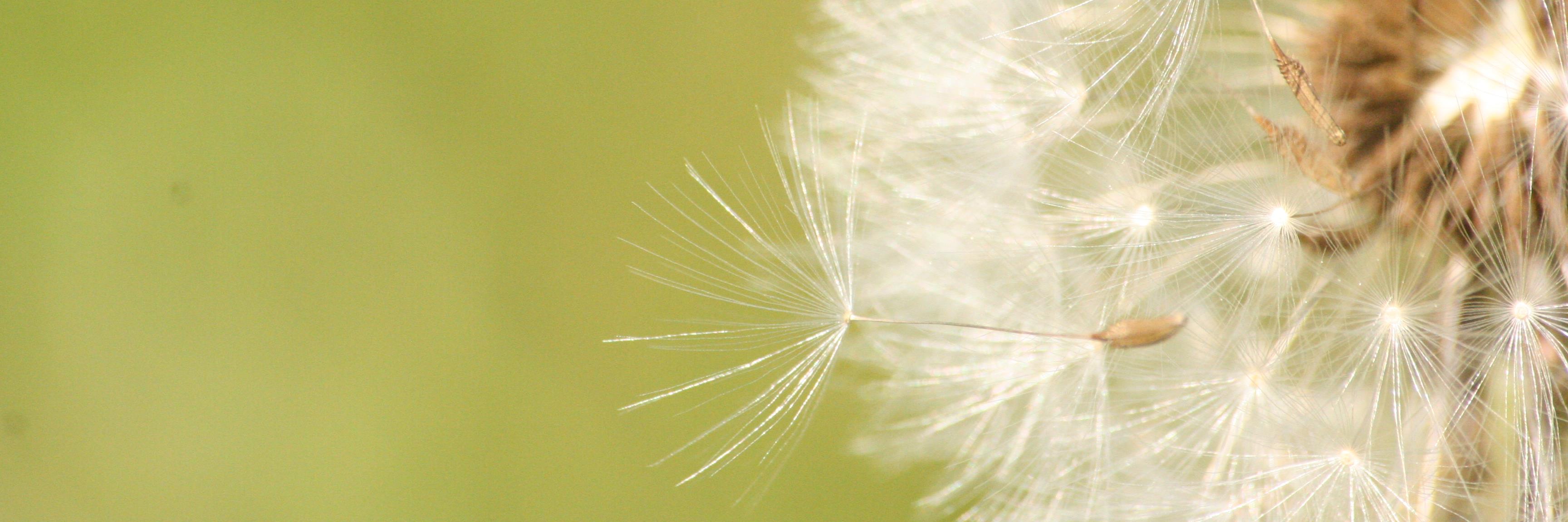 tovessj's profile banner image